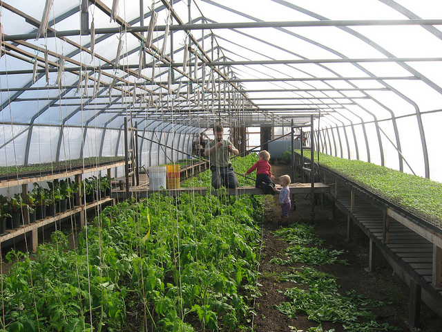 Glenorra greenhouse